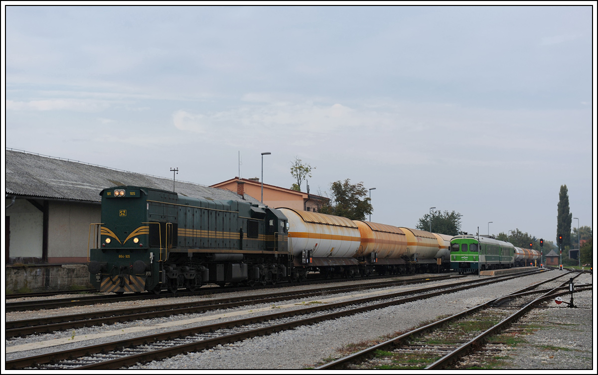 664-105 bei der Durchfahrt in Murska Sobota Richtung Pragersko am Abend des 9.10.2013.