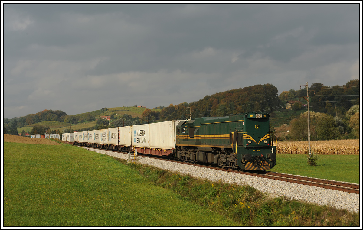 664-105 mit ihrem Metrans Containerzug von Hodo nach Pragersko nach dem Bahnhof Ivanjkovci am 10.10.2013 aufgenommen.