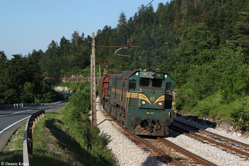 664 107 mit einem Güterzug am 08.06.2014 bei Logatec.