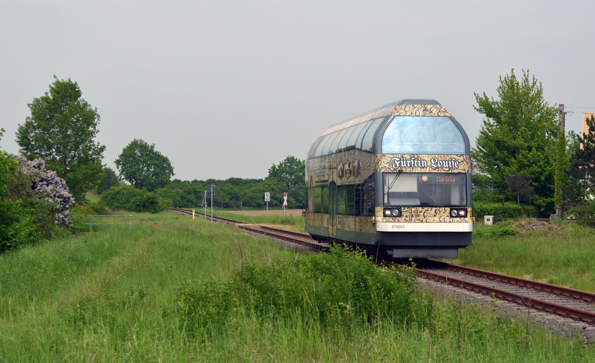 670 003 passiert am 12.05.18 auf der Fahrt von Dessau nach Wörlitz soeben Dessau-Mildensee.
