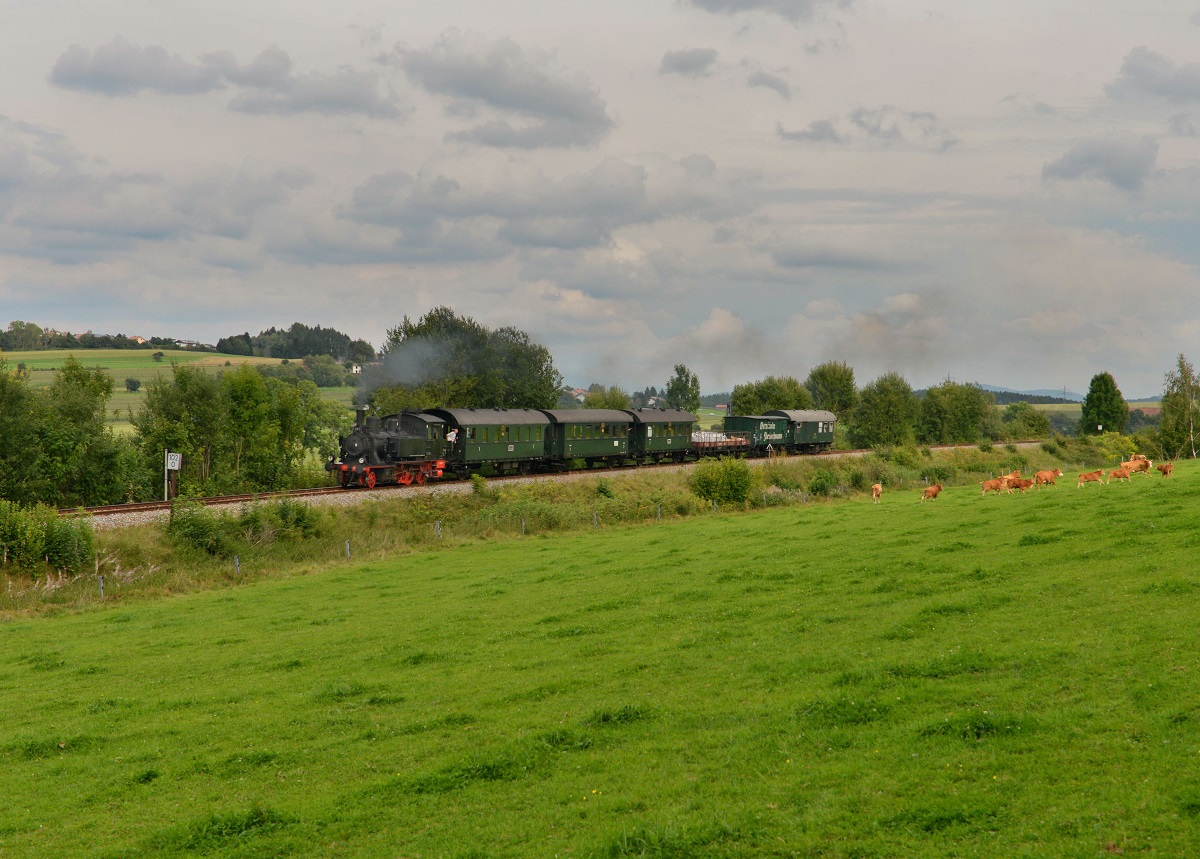 70 083 mit einem Sonderzug nach Deggendorf am 23.08.2014 bei Triefenried.