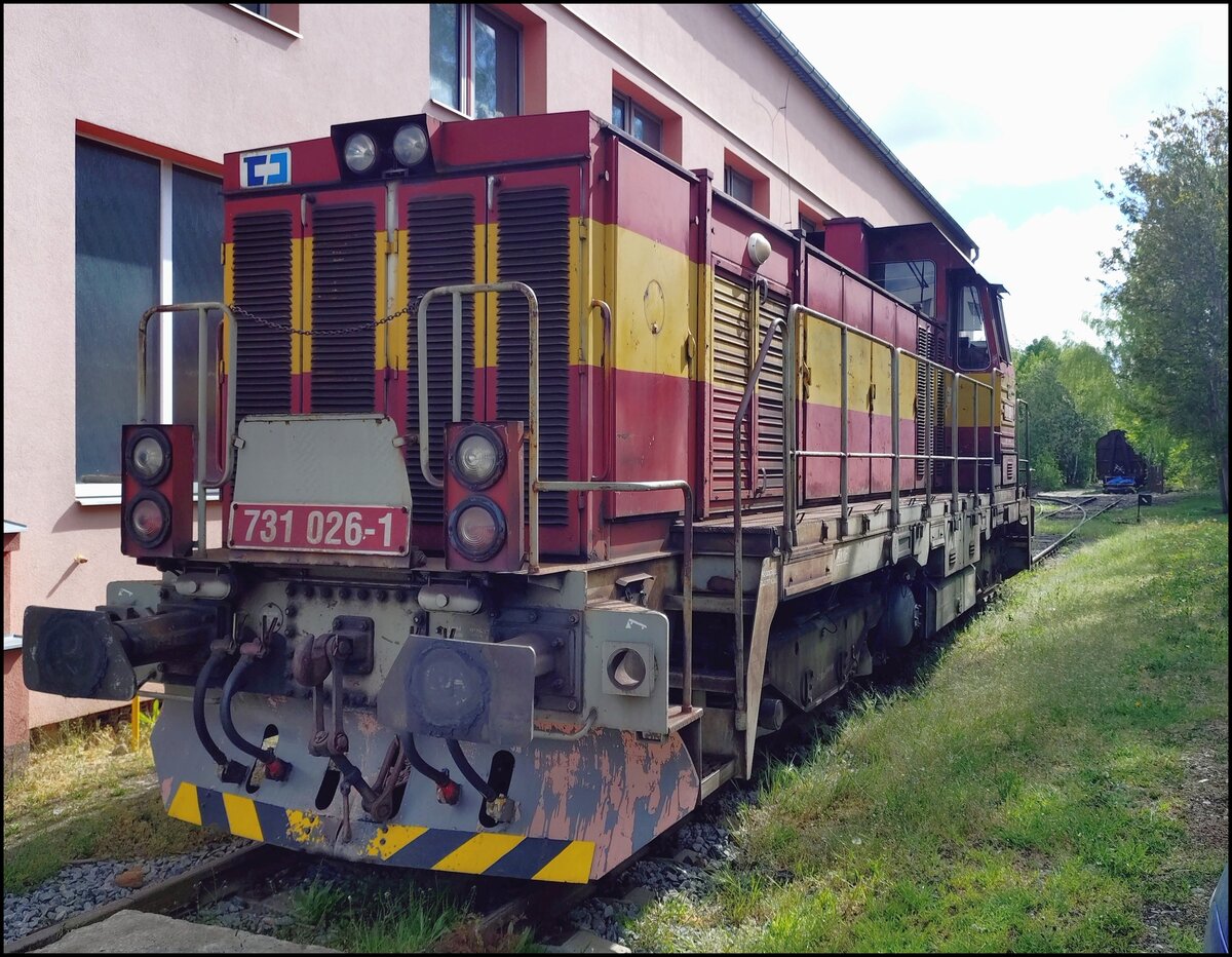 731 026-1 am 10.5.2026 in LOCO CARE Kladno.