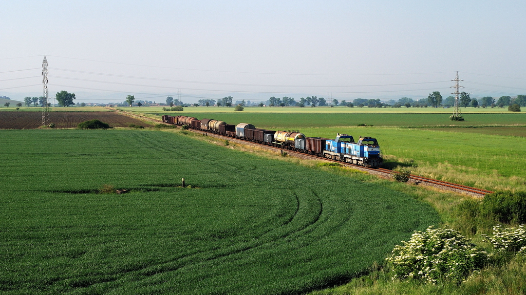 736 016 und 004 mit Güterzug vor Tornala (23.05.2014)