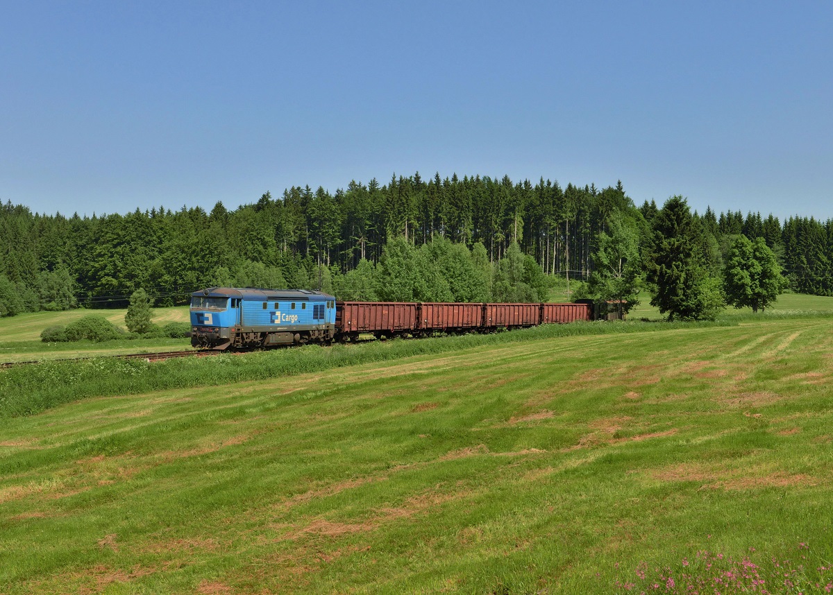 751 219 mit Mn 88851 am 11.06.2014 bei Volary.