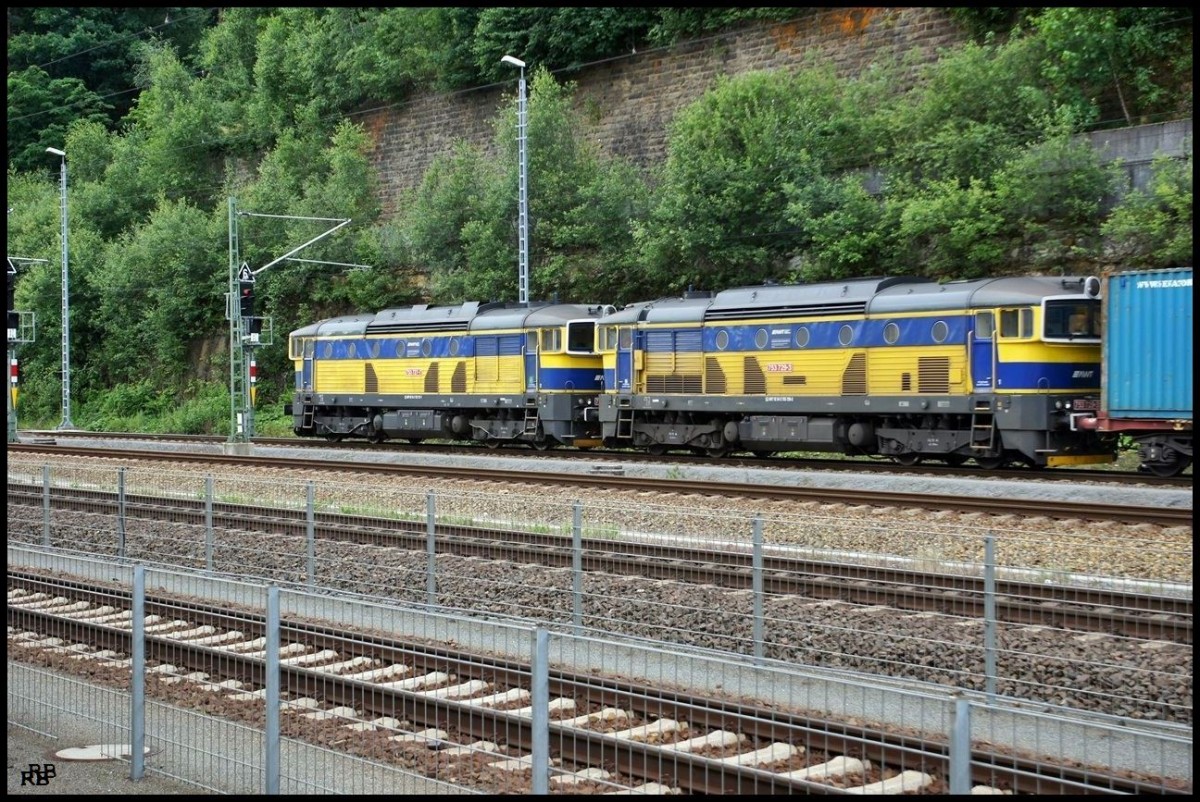 753 729 und die 753 727 warten im Bahnhof von Bad Schandau auf die Ausfahrt in Richtung Decin. Aufgenommen am 25.06.2012