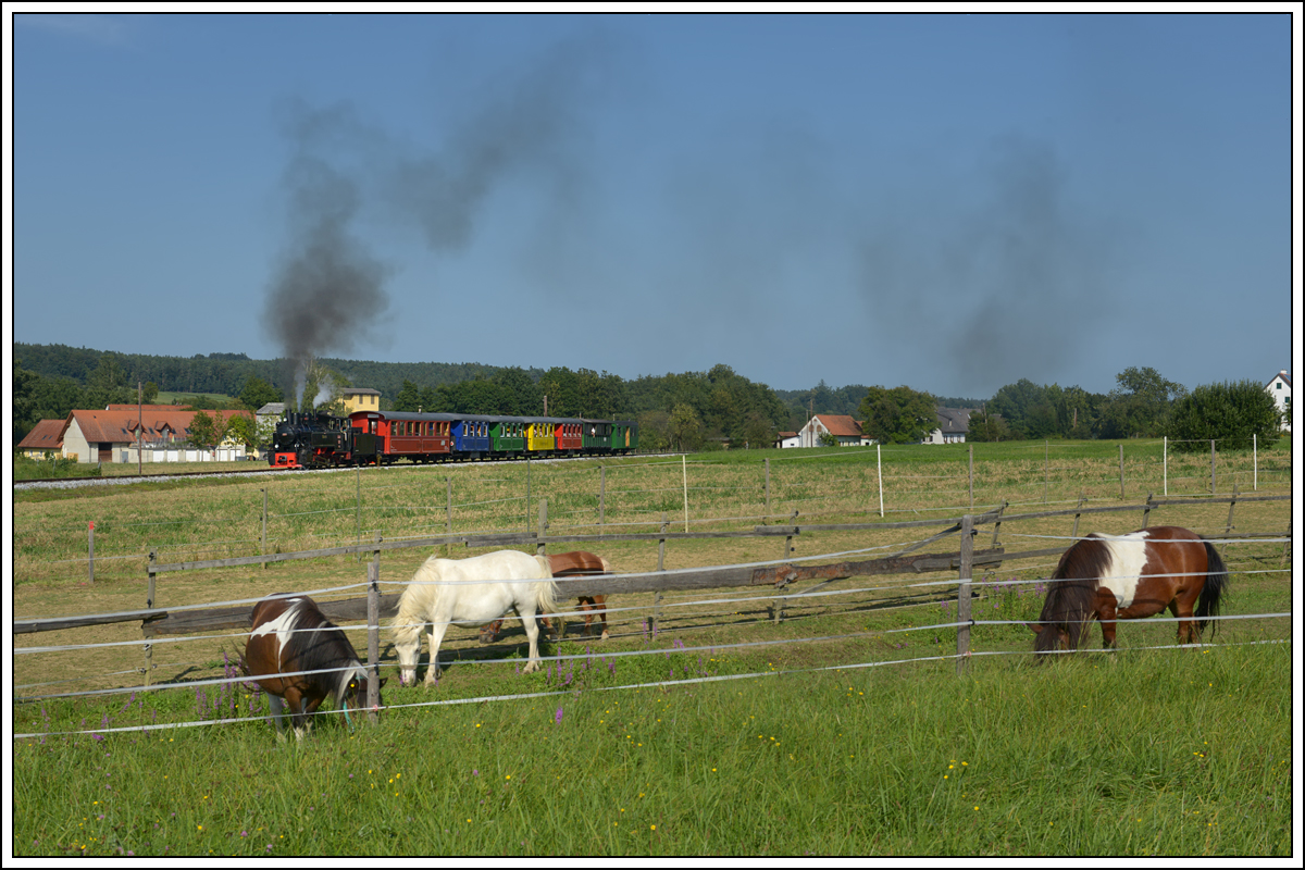 764-411R der Stainzer Bahn am 12.8.18 auf der Fahrt von Preding nach Stainz kurz nach der Haltestelle Ölmühle Herbersdorf aufgenommen. 