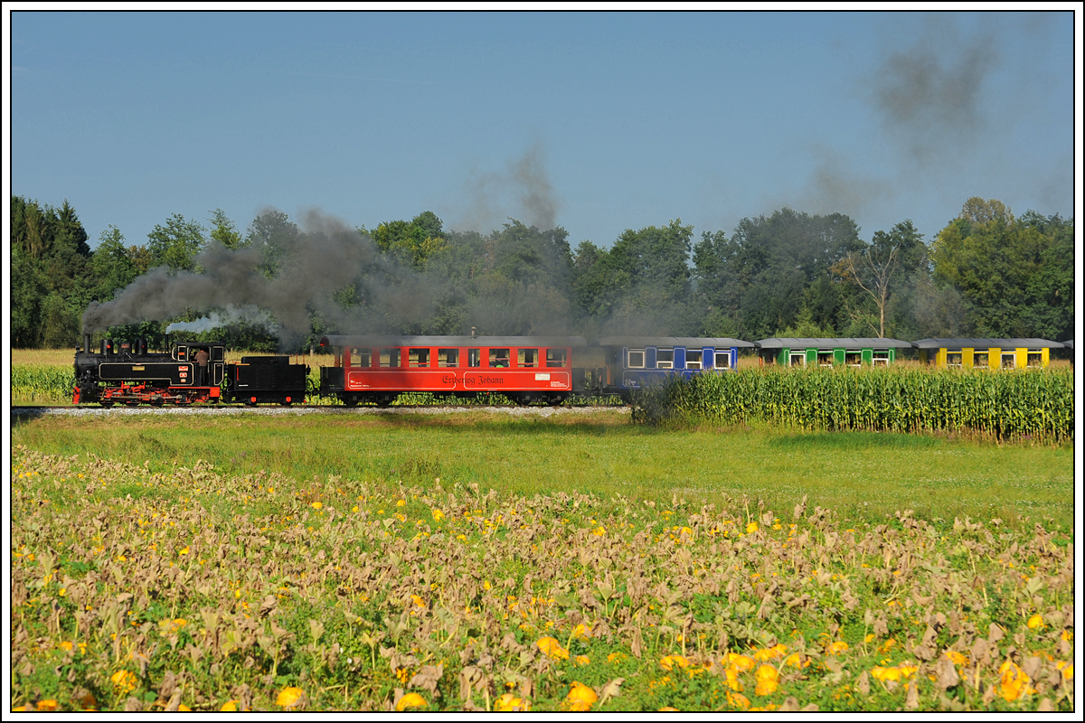 764-411R der Stainzer Bahn am 12.8.18 auf der Fahrt von Preding nach Stainz kurz nach der Ausfahrt aus Kraubath. Die Kürbis, aus deren Kernen das  Schwarze Gold  der Weststeiermark gemacht wird, sind heuer viel zu früh reif. Bleibt die Frage, wie viele Kerne für das begehrte Kernöl heuer in den  Blutzern  vorhanden sind. 