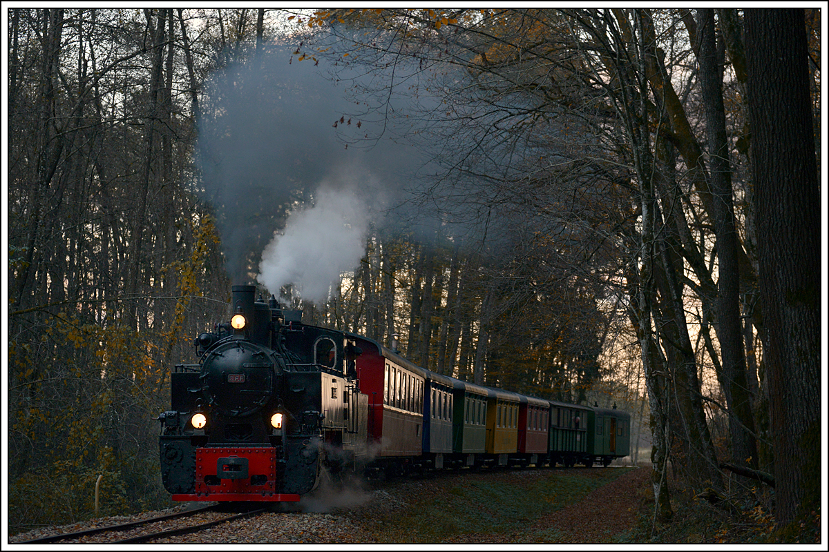 764-411R der Stainzer Bahn am 31.10.2018 im Wald zwischen Wohlsdorf und Kraubath aufgenommen. Das Auto schaut seit diesem Tag dementsprechend aus ;-)