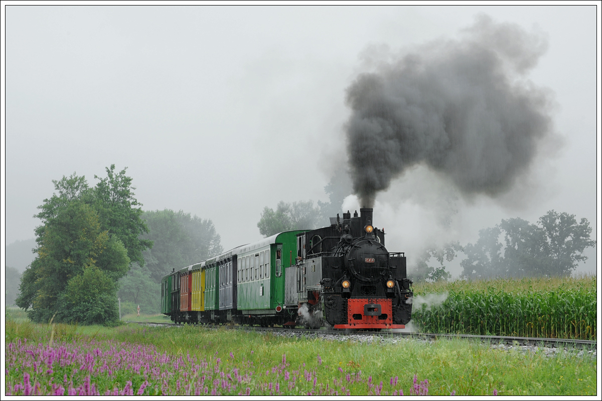 764-411R der Stainzer Bahn mit dem Stainzer Flascherlzug am 28.7.2019 nächst Neudorf/Stainztal aufgenommen.