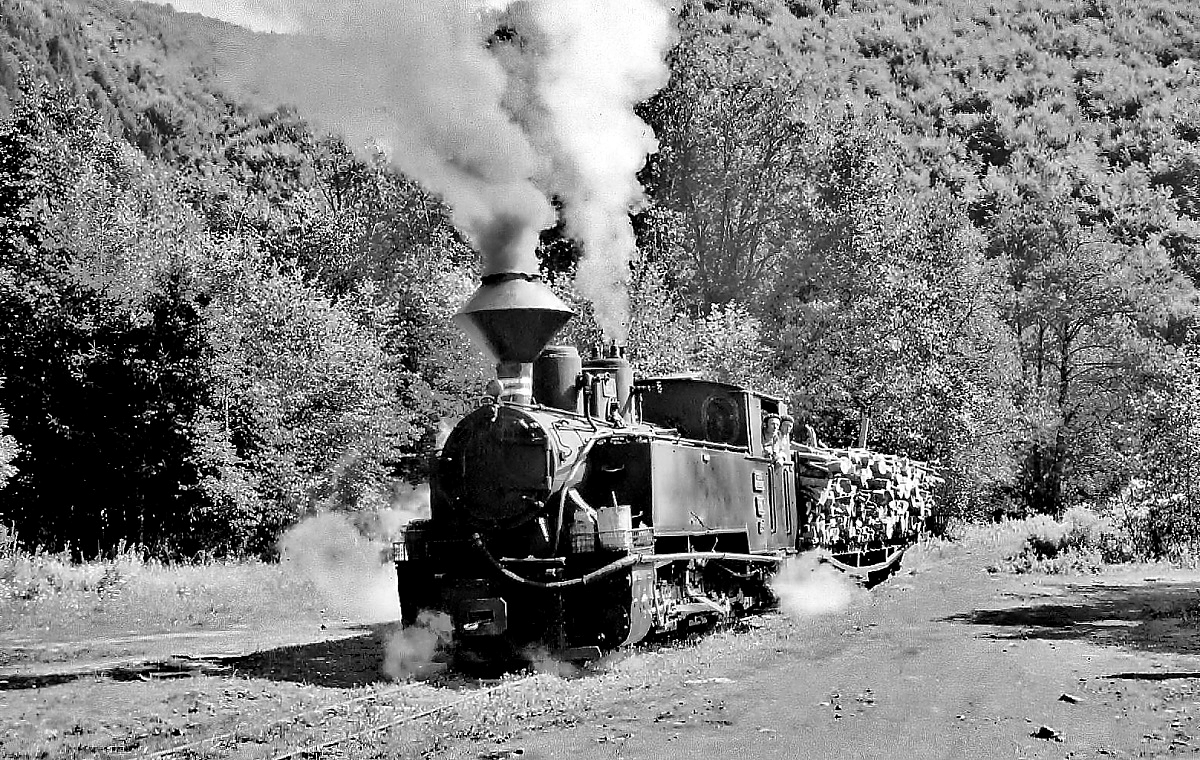 764-474 (?) der Waldbahn Fincel rangiert im August 1992 am Verladeplatz (Anmerkung zur Geoposition: Die Waldbahnen sind inzwischen längst verschwunden und auf Google Maps keine Spuren mehr von ihnen zu entdecken. Die genaue Position ist daher nicht mehr auffindbar. Daher ist der angegebene Fotostandpunkt nur als eine Annäherung zu verstehen)