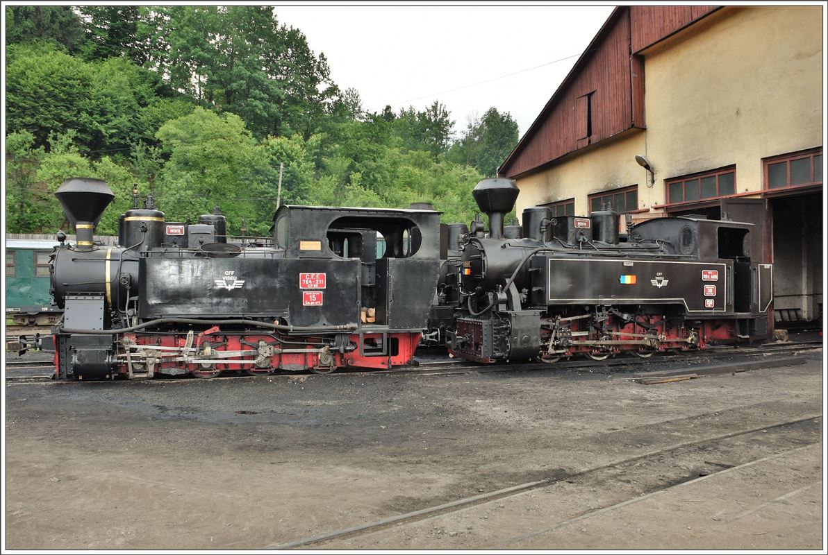 764.211  Mariuta  und 764.269  Joanna  in Viseu de Sus. (12.06.2017)