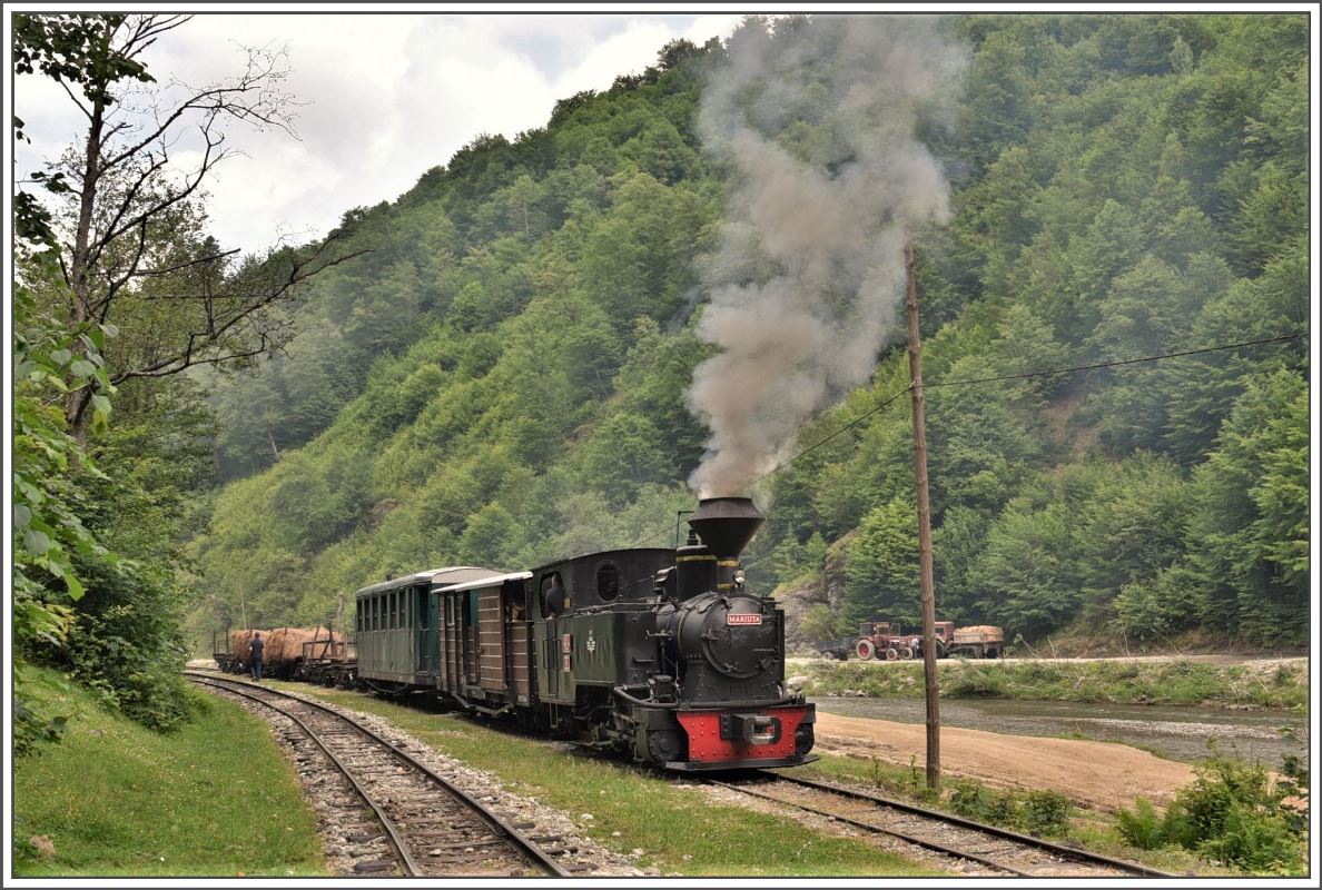 764.211  Mariuta  wartet in Novat noch die Überholung durch den Touristenzug ab. (13.06.2017)