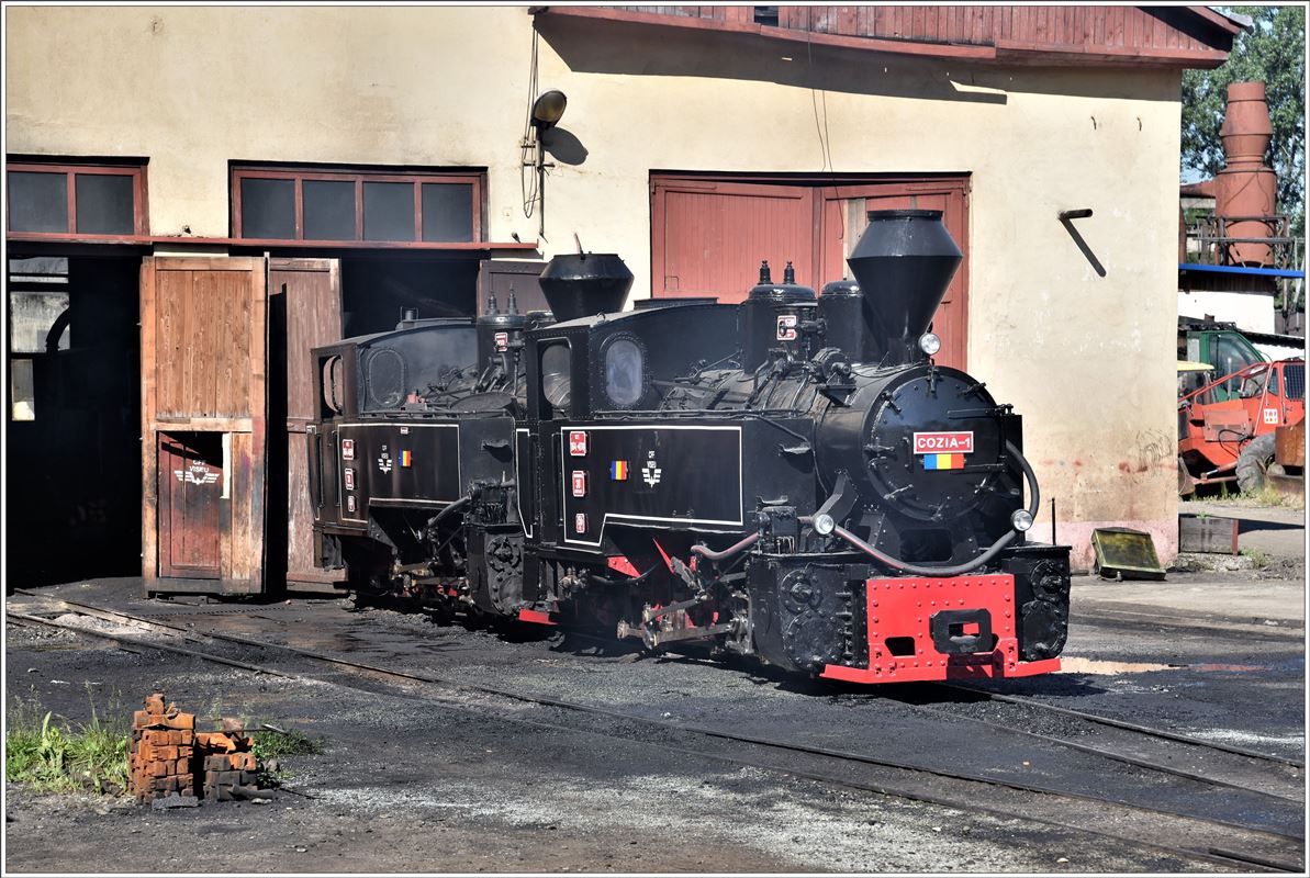 764.408  Cozia-1  und 764.469 vor dem Lokschuppen in Viseu de Sus. (11.06.2017)