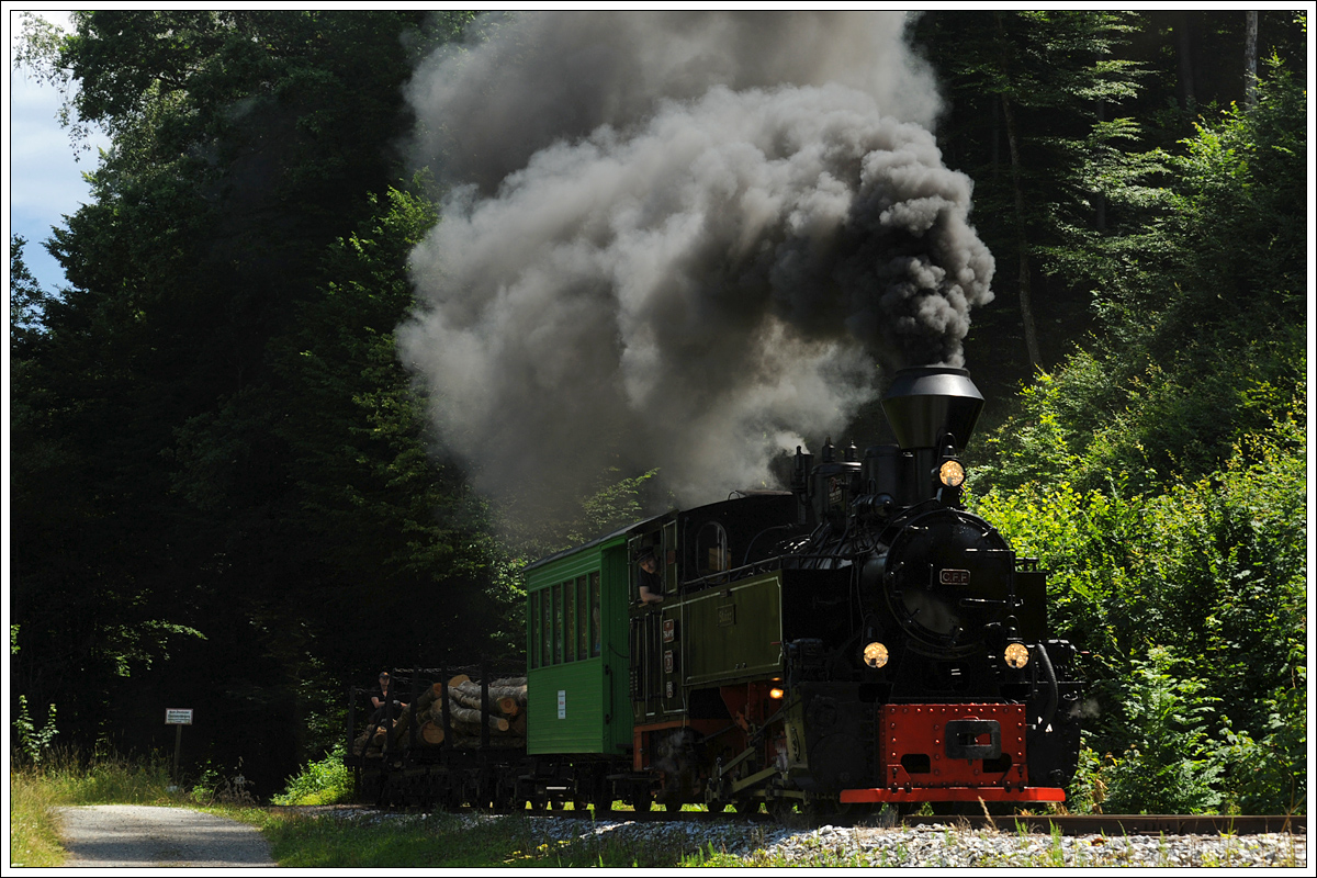 764.411R mit einem Fotogüterzug am 26.6.2015 im Wald zw. Preding und Kraubath.