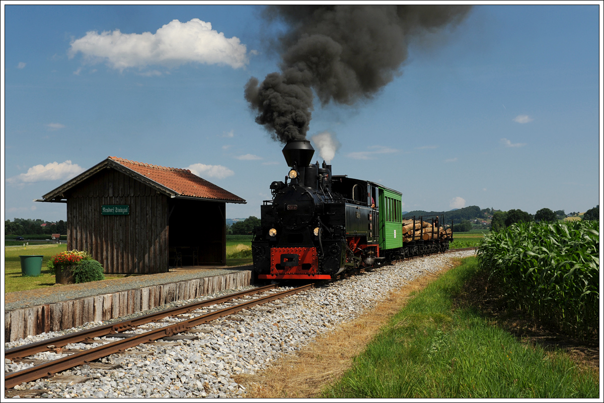 764.411R mit einem Fotogüterzug am 26.6.2015 bei der Einfahrt in die Haltestelle Neudorf/Stainztal.