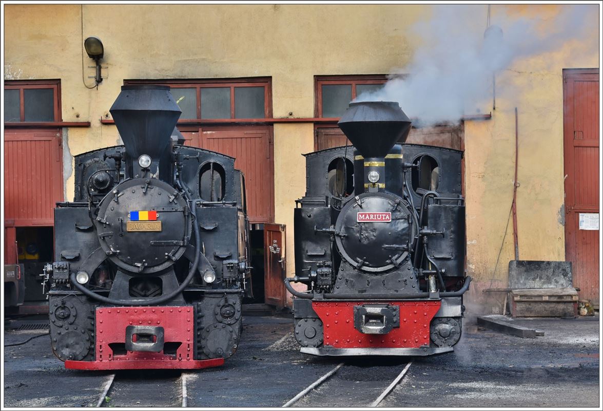 764.435  Bavaria  und 764.211  Mariuta  in Viseu de Sus. (13.06.2017)