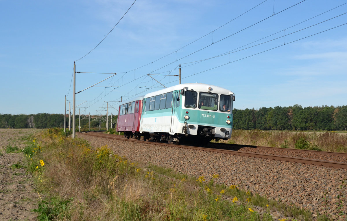 772 312 rollte zusammen mit 972 771 am 15.09.19 durch Burgkemnitz Richtung Wittenberg. Vor dem Bahnhof zweigten beide Ferkeltaxen auf die Nebenbahn Richtung Ferropolis ab.