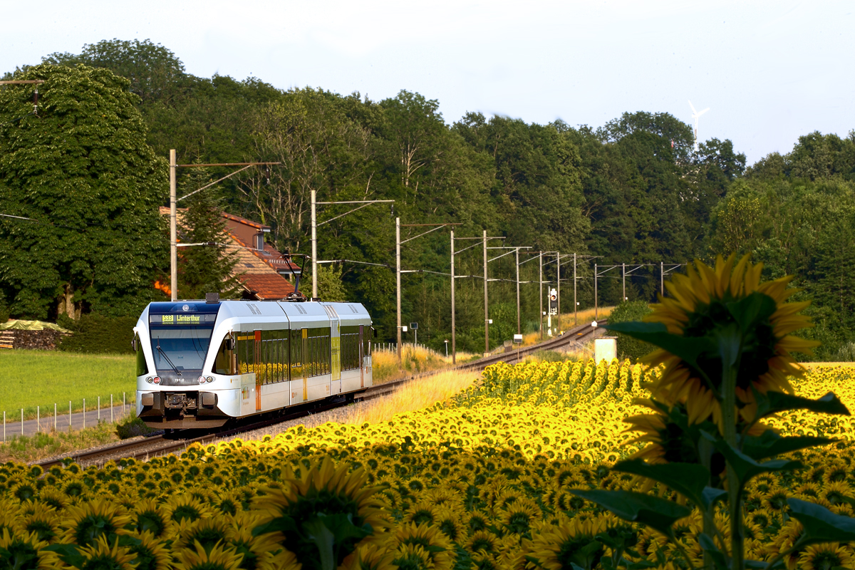 781-0 fährt als S 33 bei Marthalen nach Winterthur vorüber.Bild vom 4.7.2015