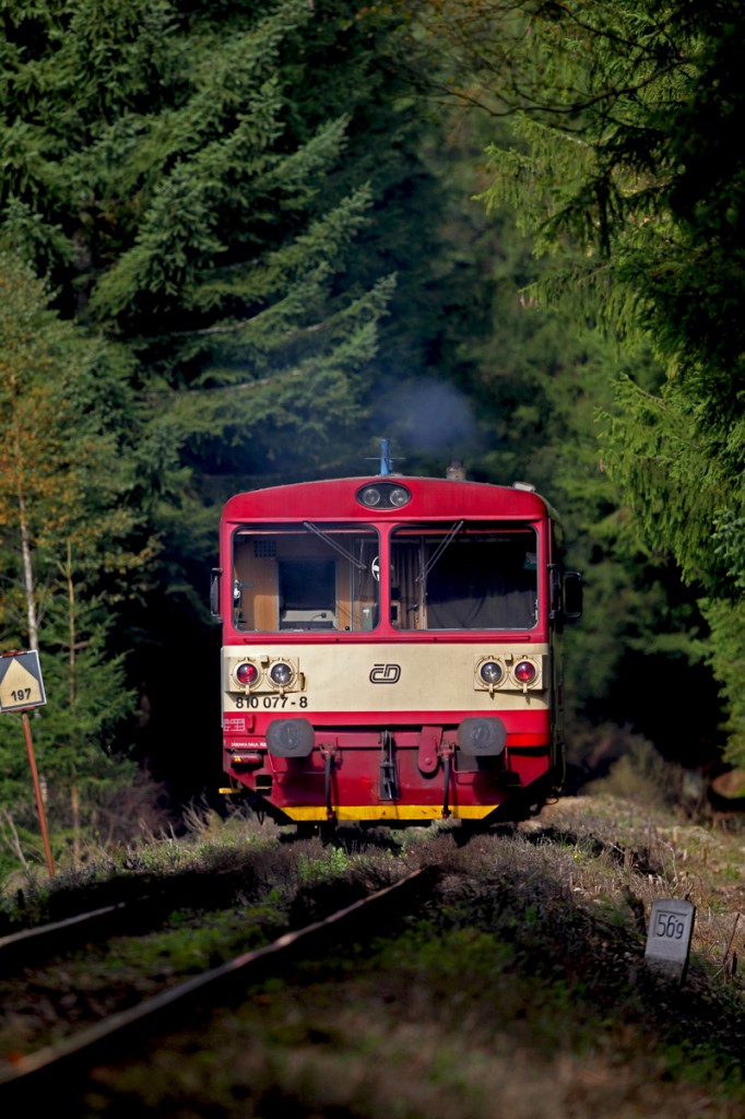 810 077-8 verschwindet im Wald bei Zátoň.Bild vom 16.9.2014