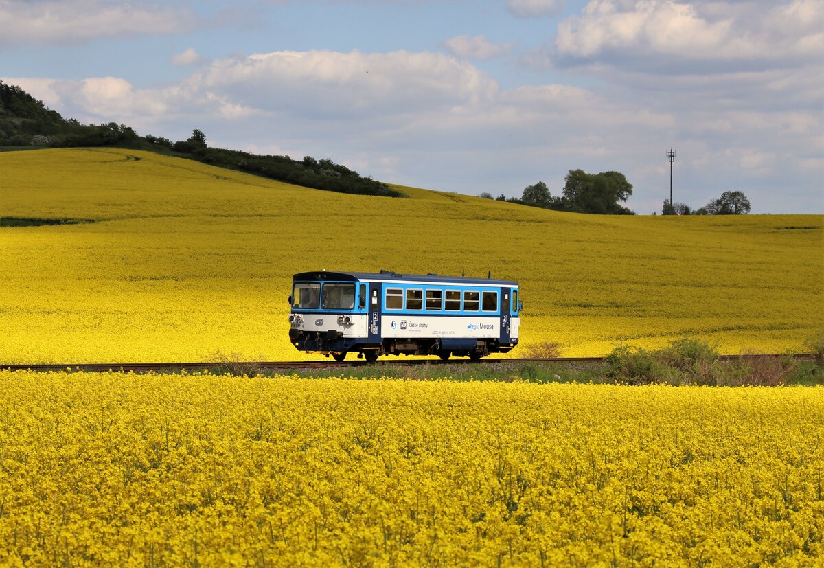 810 337-6 als Os 16715 war am 31.05.21 bei Chyše zu sehen. Die Sonne schaute im richtigen Moment raus!