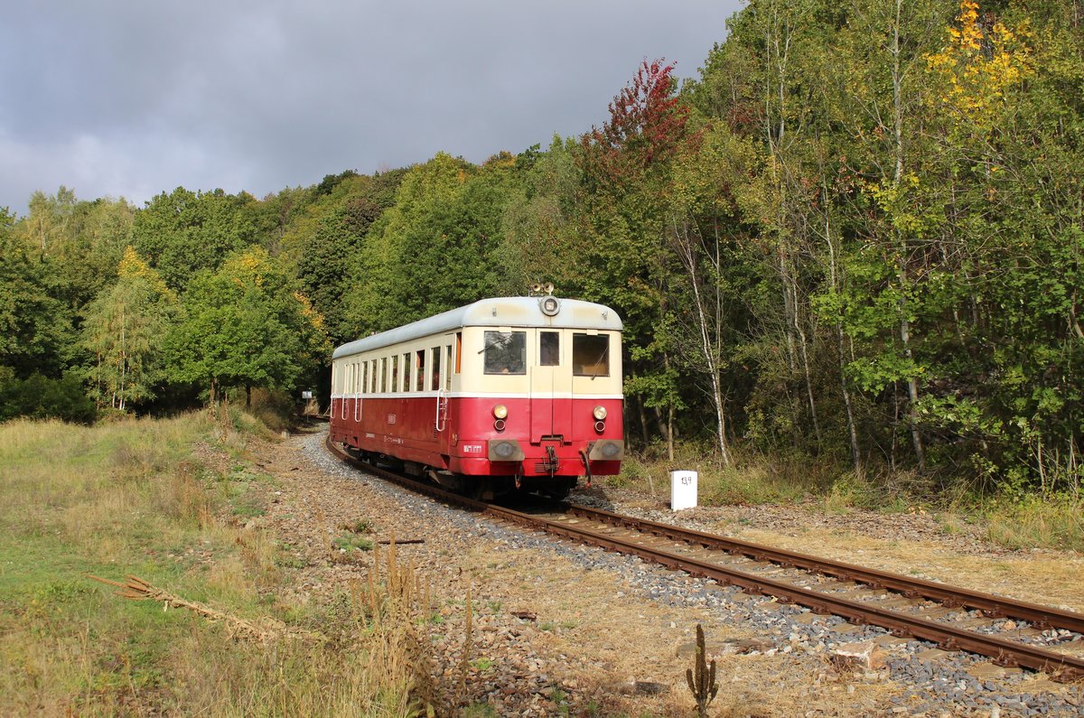 831 105 (Os 11782) zu sehen am 03.10.19 bei Domina. 