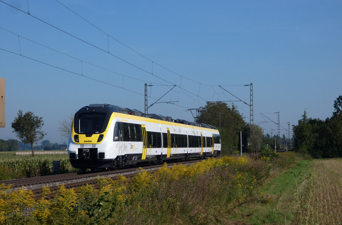 8442 205 als Leerfahrt am 08.09.2021 kurz vor Riegel-Malterdingen.