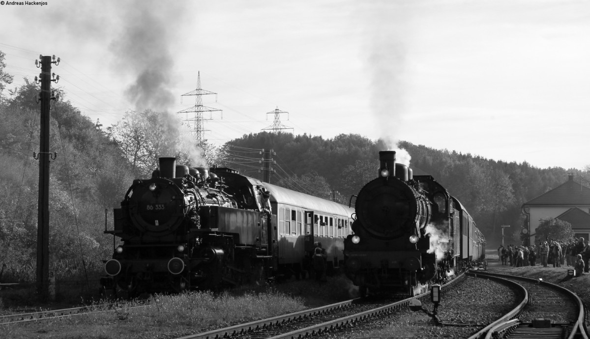 86 333 und 2455 Posen in F�tzen 19.10.13