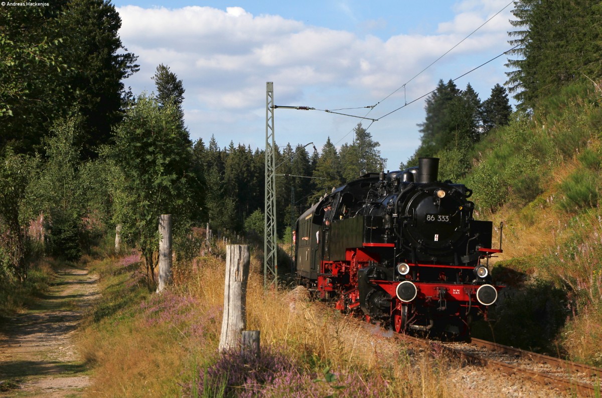 86 333 mit dem DPE ***** (Titisee-Seebrugg) am Windgfällweiher 22.8.15
