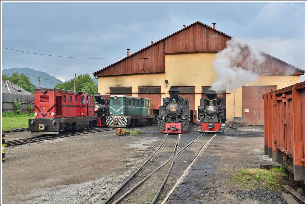 87-0015-5, 764.408  Cozia 1 ,87-0033-8, 764.435  Bavaria  und 764.211  Mariuta  vor dem Lokschuppen in Viseu de Sus. (13.06.2017)