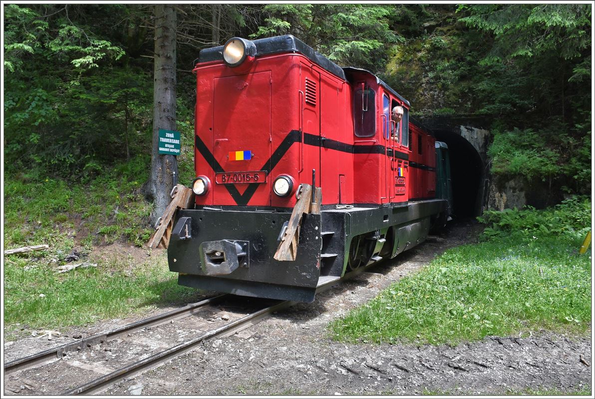 87-0015-5 bei Botizu im Wassertal. (12.06.2017)