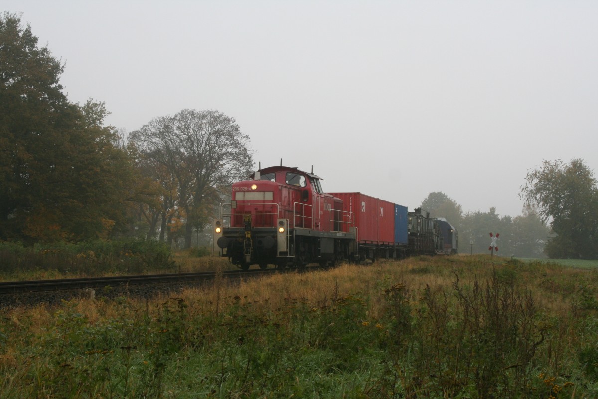 98 803 296 028-4 D-DB Railion bei Lindwedel 22.10.2007