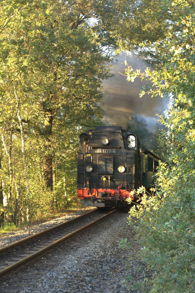 99 1777 - 4 mit einem Personenzug von Moritzburg kommend, kurz vor Dippelsdorf.
29.09.2013 18:11 Uhr.