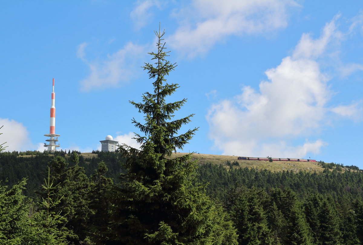99 222 hat mit dem P8932 (Brocken - Wernigerode) den Brockenbahnhof verlassen, wird den Brocken einmal umrunden, und dann rechts an mir vorbei fahren.

Brocken, 06. August 2017