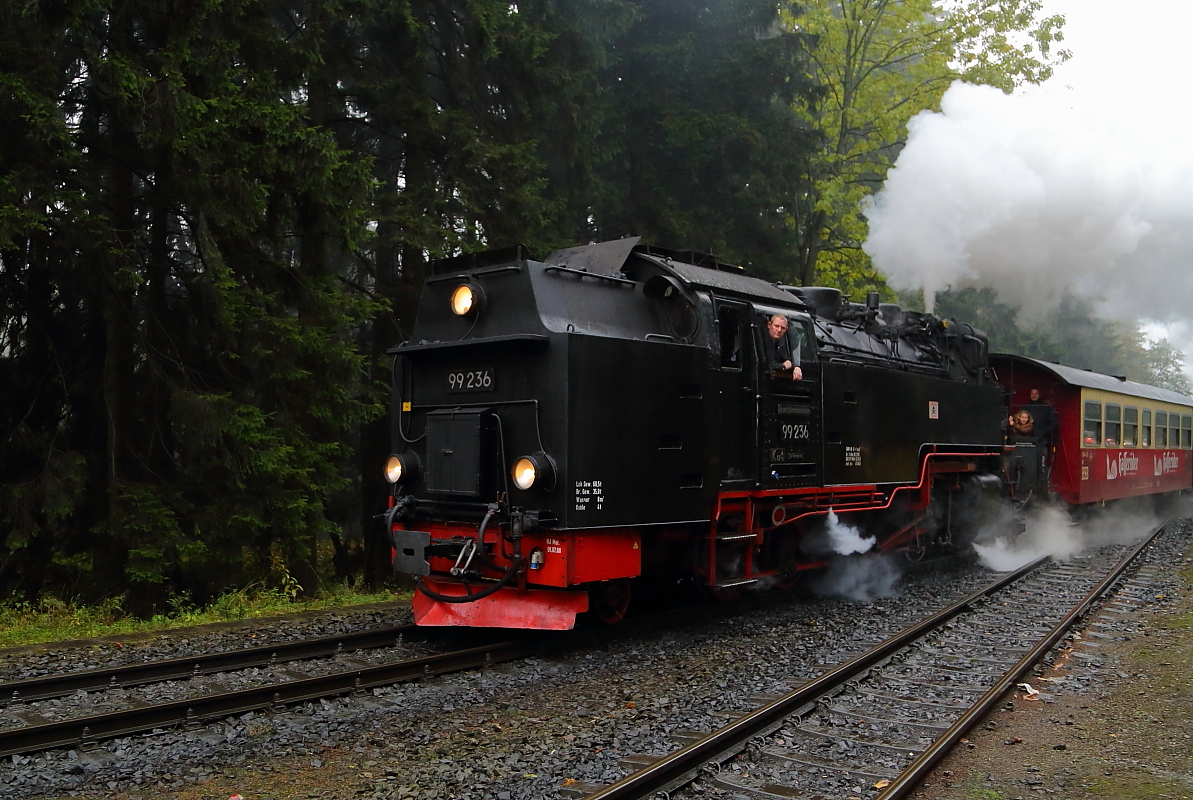 99 236 vor Planzug P 8922 vom Brocken, am 16.10.2015 bei der Einfahrt in den Bahnhof Drei Annen Hohne.