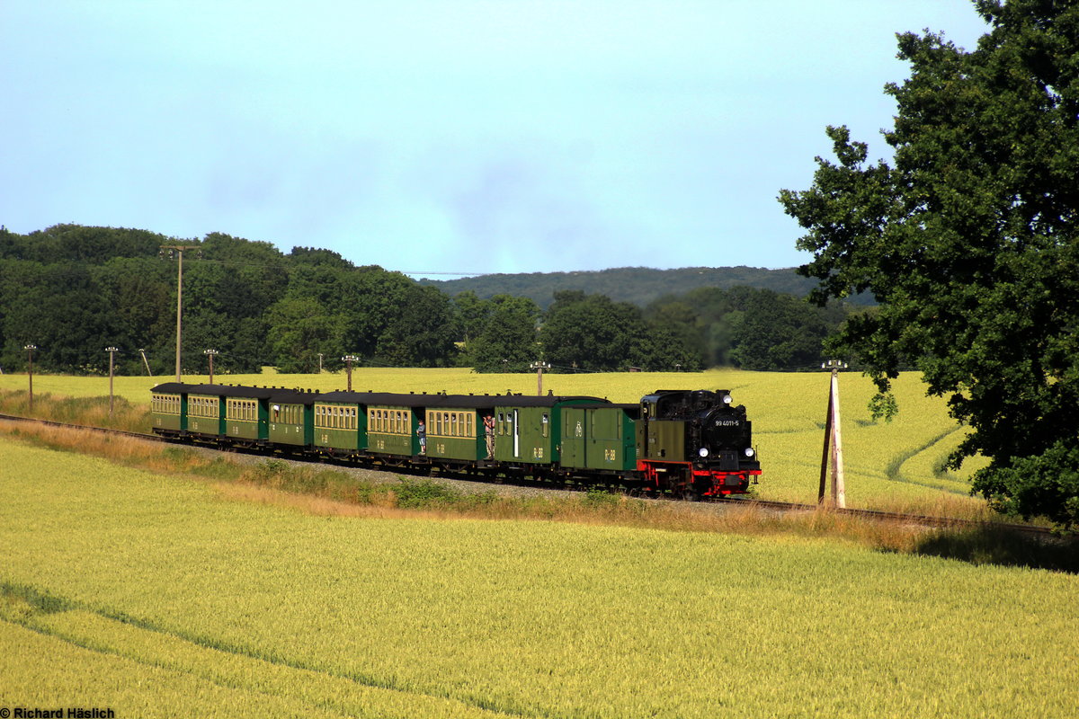 99 4011-5 zieht ihren Zug zwischen den Feldern vor Putbus entlang.