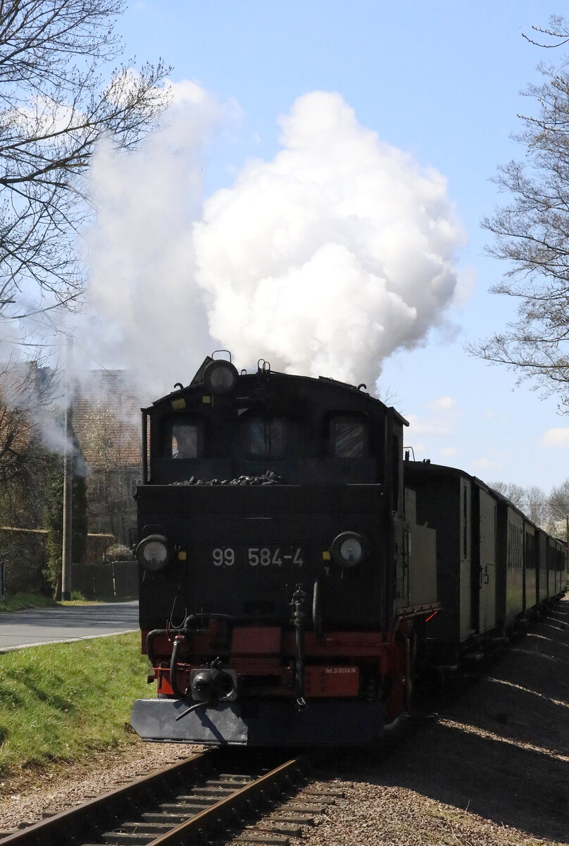 99 584-4 kurz nach der Abfahrt Nebitzschen, von Glossen kommend , Fahrt in Richtung Mügeln. 
17.04.2022  14:36 Uhr. 