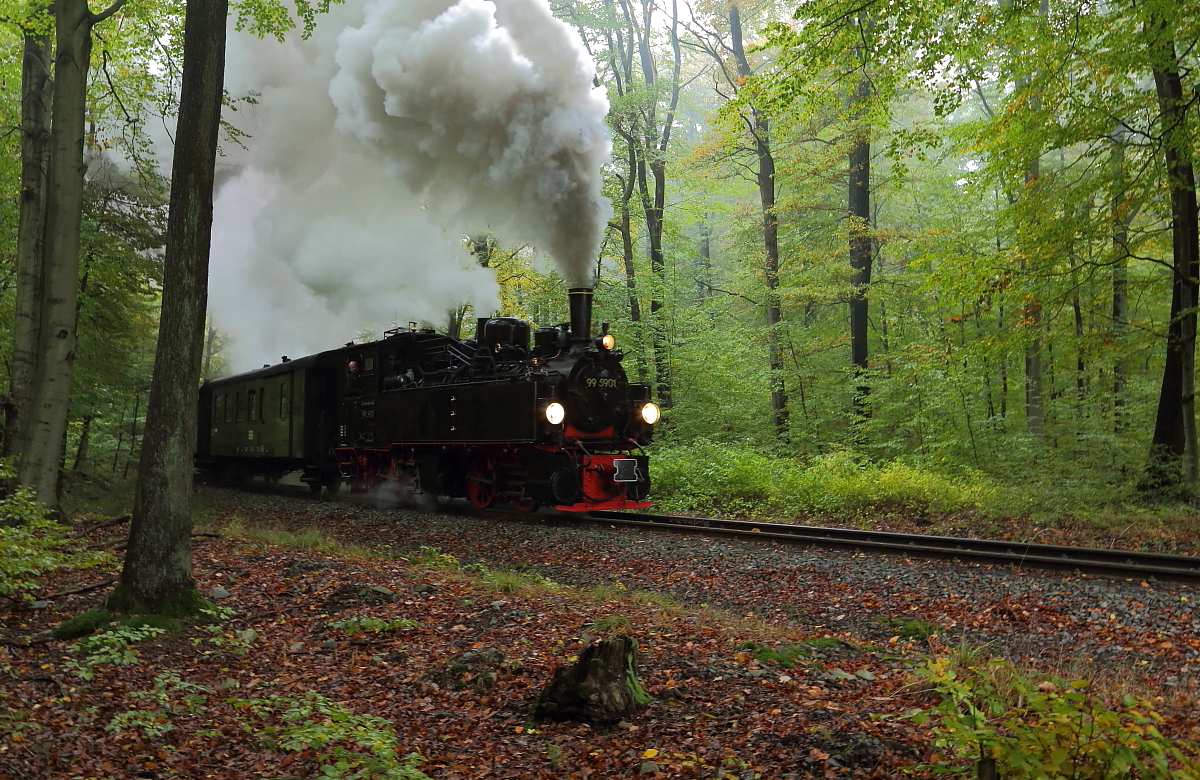 99 5901 am 23.10.2016 mit IG HSB-Sonderzug während einer Scheinanfahrt, -einfahrt in Sternhaus-Ramberg.