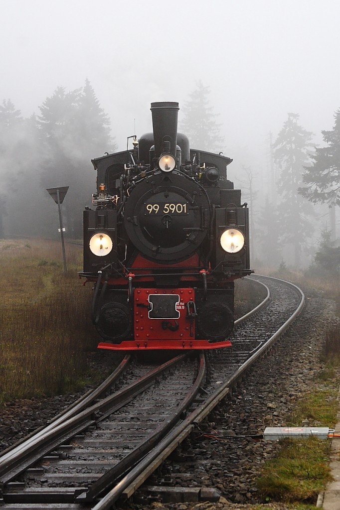 99 5901 am Nachmittag des 18.10.2013 beim Zur�ckdr�cken ihres IG HSB-Sonderzuges in das Stichgleis der Ausweichstelle am Goetheweg auf der Brockenstrecke. Nachdem sie zwei Planz�ge hat passieren lassen, wird sie ihre Fahrt zum Brocken fortsetzen.