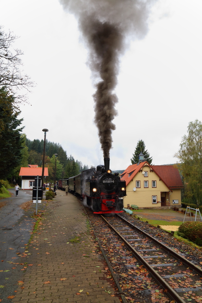 99 5901 mit IG HSB-Sonderzug am 17.10.2015 im Haltepunkt Sorge. (Bild 3) Wie die kerzengerade aufsteigende Rauchsäule zeigt, herrschte zum Aufnahmezeitpunkt absolute Windstille.