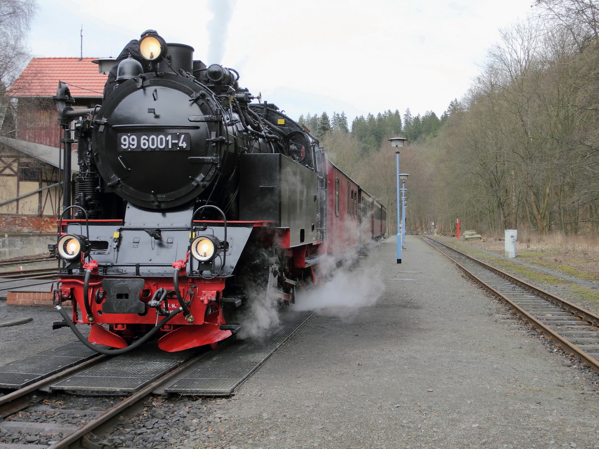 99 6001- 4 als HSB 8965 nach Hasselfelde im Bahnhof Alexisbad am 21. Februar 2014.