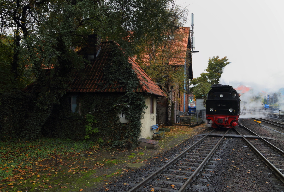 99 6001 am Morgen des 18.10.2015 bei der Einfahrt in den Bahnhof Wernigerode, wo sie einen Sonderzug der IG HSB mit den Fahrzielen Harzgerode und Quedlinburg übernehmen wird. Leider war das Wetter an jenem Tag, wieder mal, alles andere als fotofreundlich! (Bild 2)