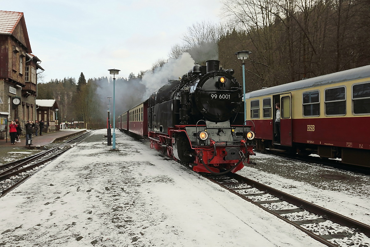 99 6001 kam als HSB 8963 aus Quedlinburg im Bahnhof Alexisbad am 31. Januar 2016 trotz Schnee pünktlich an. 