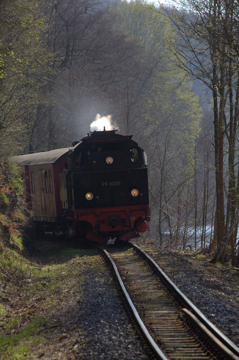 99 6001 kurz vor Gütersberge. 20.04.2019 17:42 Uhr.