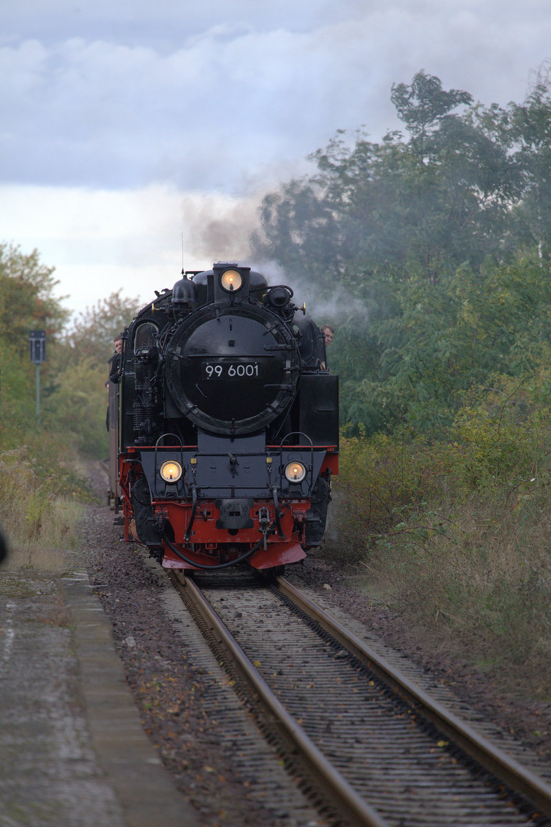 99  6001 läuft mit einem kurzen Zug in Bad Suderode , aus Quedlinburg kommend, ein.
11.10.2019 bad Suderode,10:32 Uhr.