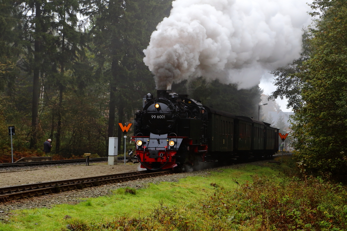 99 6001 mit IG HSB-Sonderzug am 18.10.2015 bei der Ausfahrt aus dem Bahnhof Drei Annen Hohne in Richtung Eisfelder Talmühle.