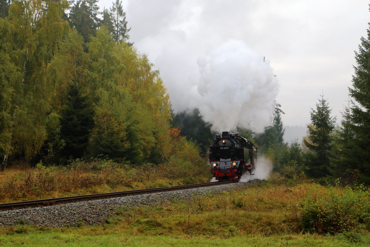 99 6001 mit IG HSB-Sonderzug am 18.10.2015 bei einer Scheinanfahrt, kurz vor dem Bahnübergang Alte Heerstraße, zwischen Drei Annen Hohne und Elend. (Bild 2)