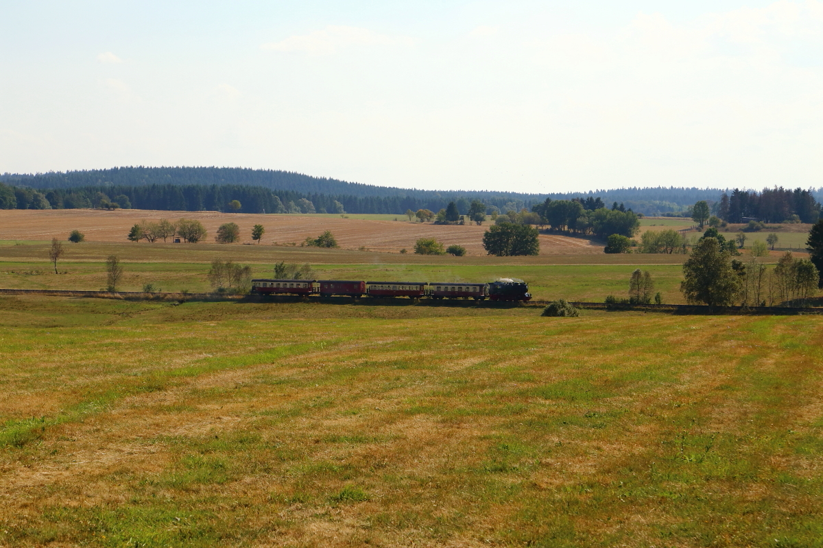 99 6001 mit P 8965 am Nachmittag des 31.08.2019 auf der Hochebene, kurz vor Stiege. (Bild 1)