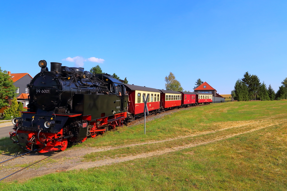 99 6001 mit P 8965 (Gernrode-Hasselfelde) am 31.08.2019 an der Ortsgrenze von Hasselfelde, kurz vor Erreichen des Bahnhofes. (Bild 3)