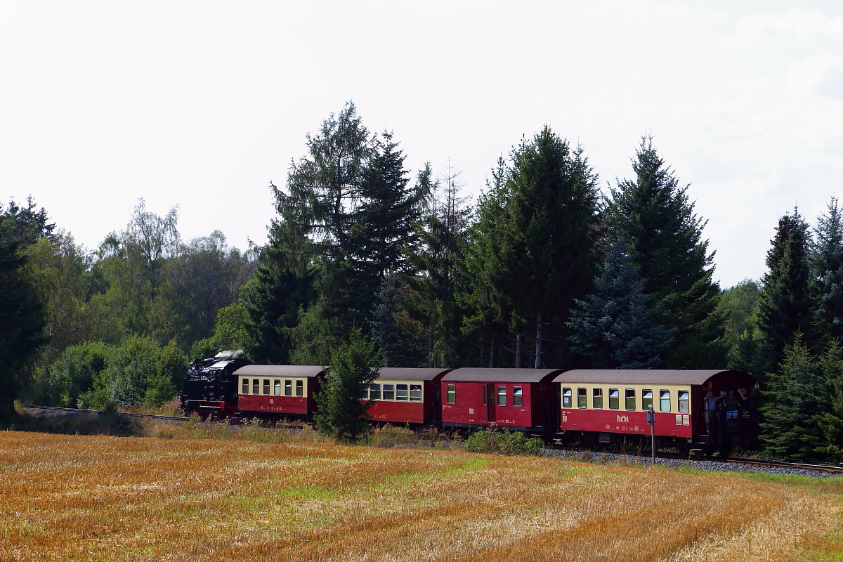 99 6001 mit P 8965 (Gernrode-Hasselfelde) am 31.08.2019 an der Ortsgrenze von Hasselfelde, kurz vor Erreichen des Bahnhofes. (Bild 5)