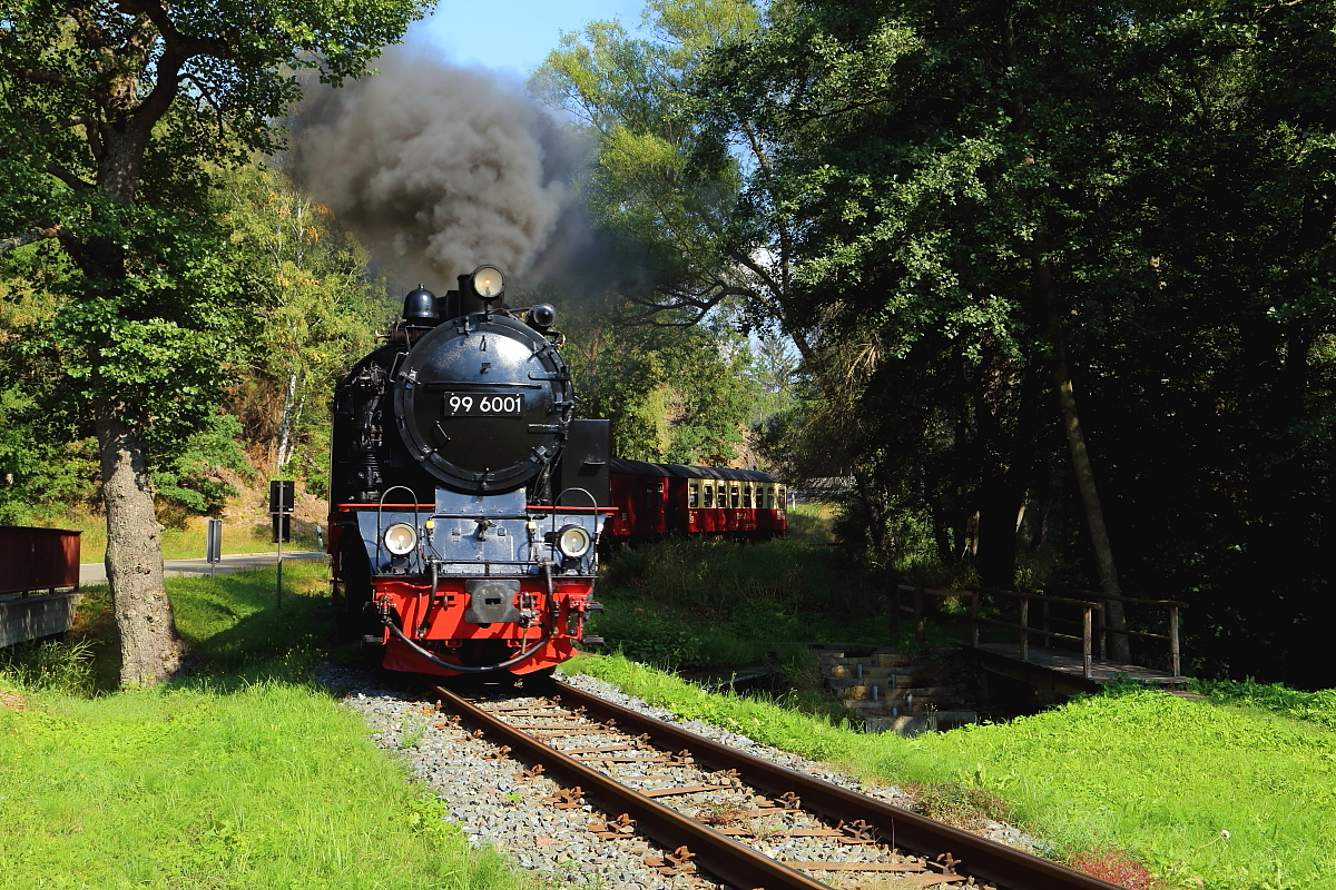 99 6001 mit P8965 (Gernrode-Hasselfelde) am Nachmittag des 31.08.2019 zwischen  Silberhütte/Anhalt  und  Straßberg , hier in Höhe  Rinkemühle . (Bild 1)